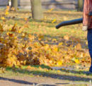 Guidelines To Select The Best Leaf Blower