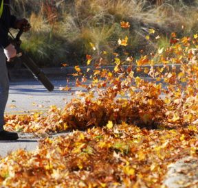 List Of The Best Leaf Blowers In The Market