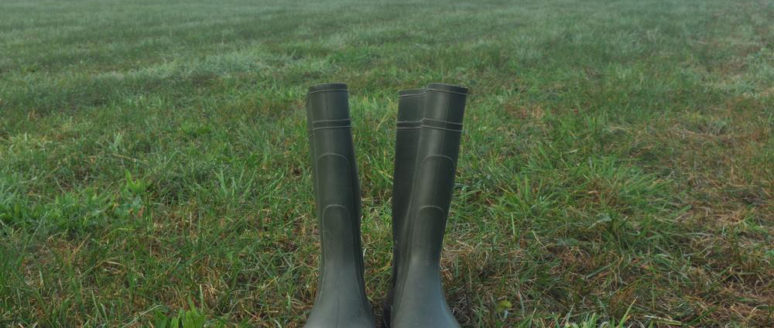 4 Bogs boots for wet or snowy weather