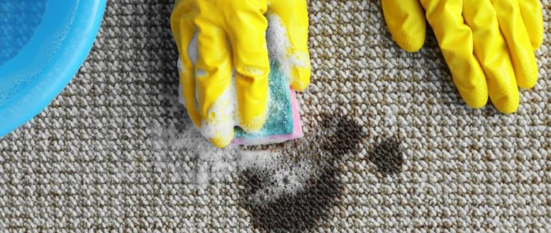 6 easy ideas for best carpet stain removers