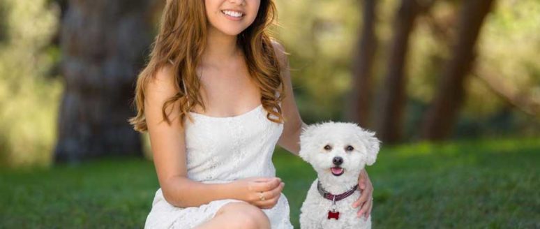 All You Need to Know About Maltipoo Dogs
