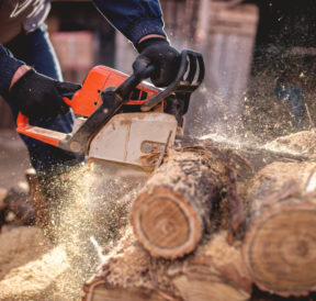 All You Need to Know When You Buy Chainsaws