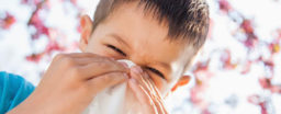 Allergic rhinitis treatment for kids