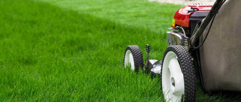 All you need to know about lawn mowers