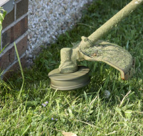Avoid the growth of weeds using these simple steps