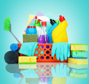 Essential bathroom cleaning products