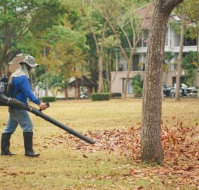 Guide for buying the best leaf blower