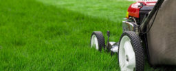 Here’s how you can choose the best lawn edger