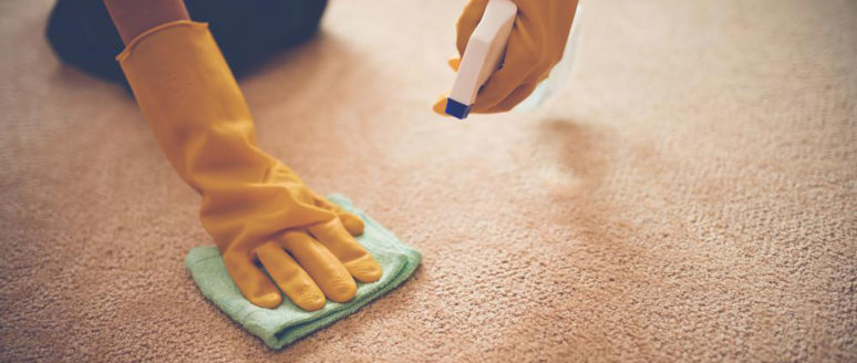 Here’s why and how to choose the best carpet stain removers