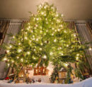 How to choose the right sized Christmas tree for your home