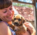 Important Factors to Consider Before Adopting Puppies
