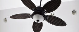 Popular ceiling fan brands to watch out for