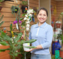 Repot your orchids with care
