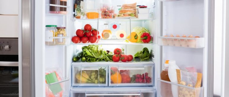 The best mini refrigerators