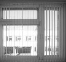 The need for investing in blinds