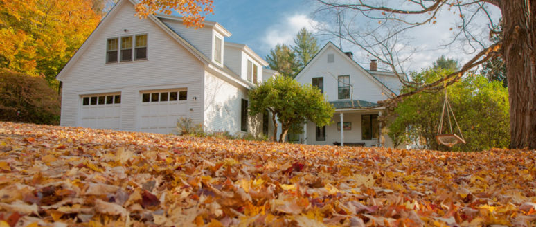 Things to consider before renting a house in the country