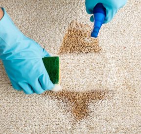 Top 6 ways to keep your carpet clean