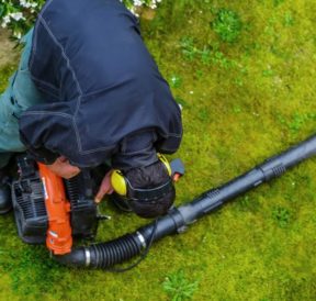 Types of leaf blowers and uses