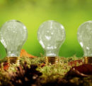 Types of light bulbs