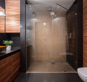 5 significant benefits of walk-in showers for seniors