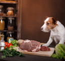 A Guide To The Best Premium Dog Food