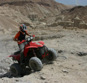 All you need to know about different types of ATVs