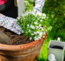 Build your own large garden planter