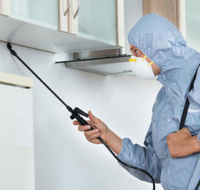Different types of pest control methods