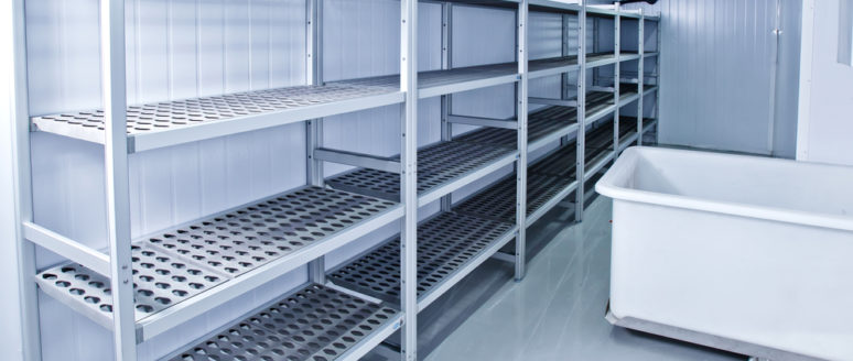 Evolution of Food Storage from Ice Men to Freezers