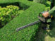 The best weed trimmers to beautify your garden