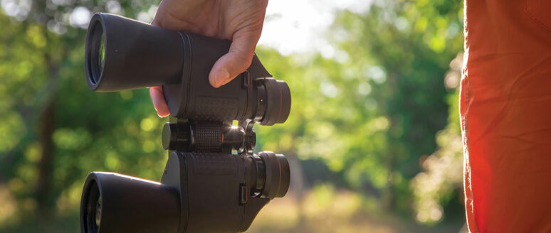 3 best binoculars available online