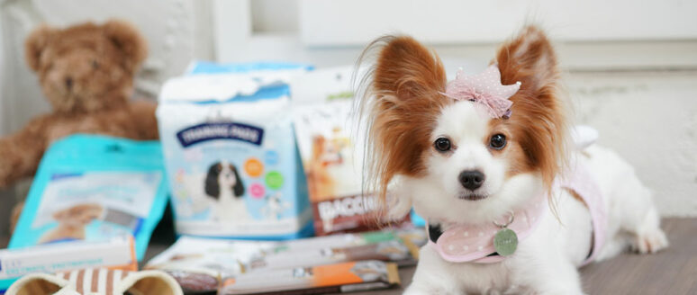 Tips to follow when shopping for pet supplies online